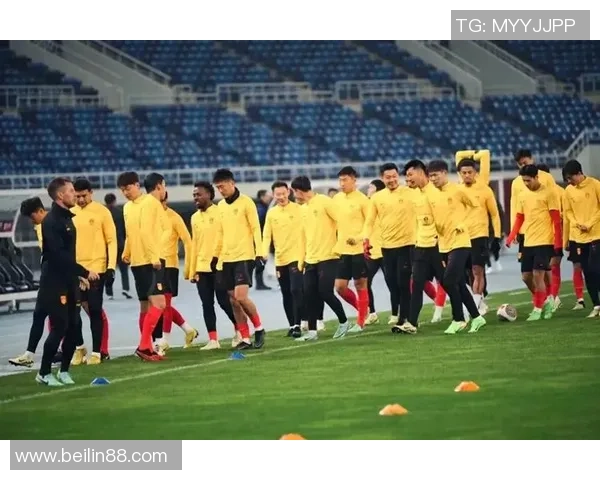 上海排球队灵活性探讨：技战术创新与团队协作的完美结合