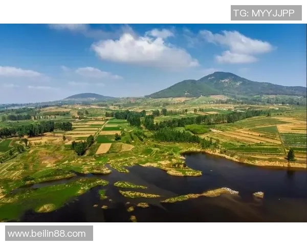重磅专题:探索LNG产业链的阵地战革新与未来发展趋势 重磅专题:探索LNG产业链的阵地战革新与未来发展趋势