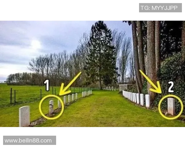 足球场上的灵异传说与神秘事件揭秘之旅