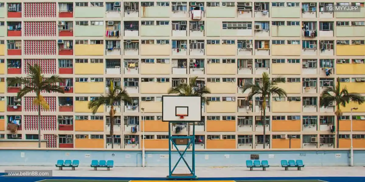 实时战况，心跳加速📱