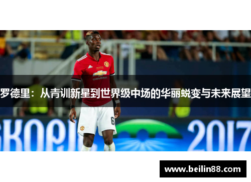 罗德里：从青训新星到世界级中场的华丽蜕变与未来展望